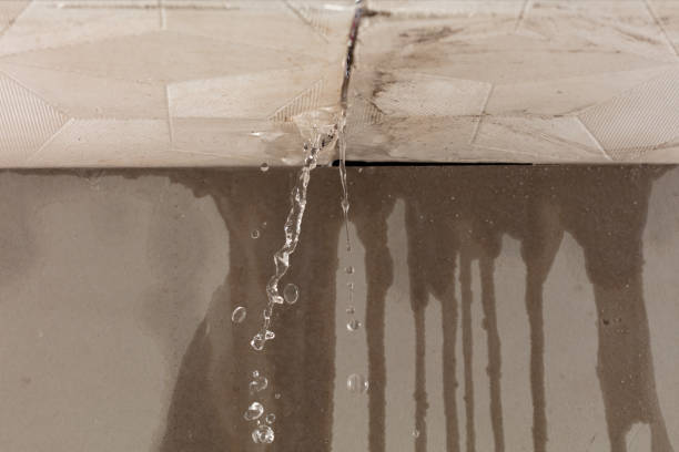 Professional Burst Pipe Cleanup technician working in Rock Point, AZ